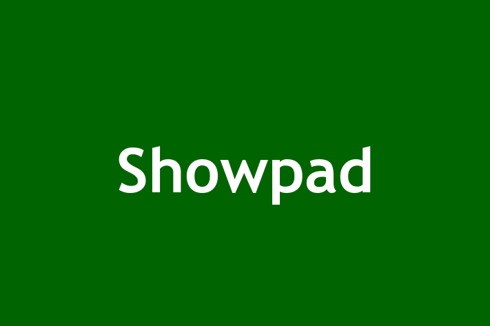 Software Engineering Company Showpad