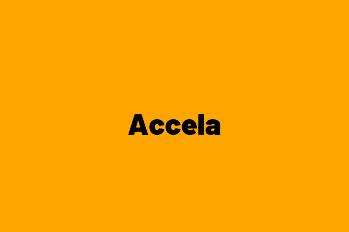 Tech Solutions Company Accela