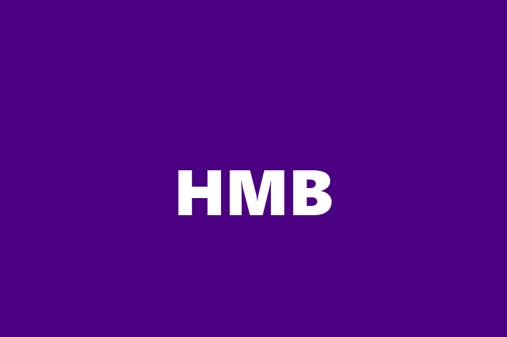 Application Development Company HMB