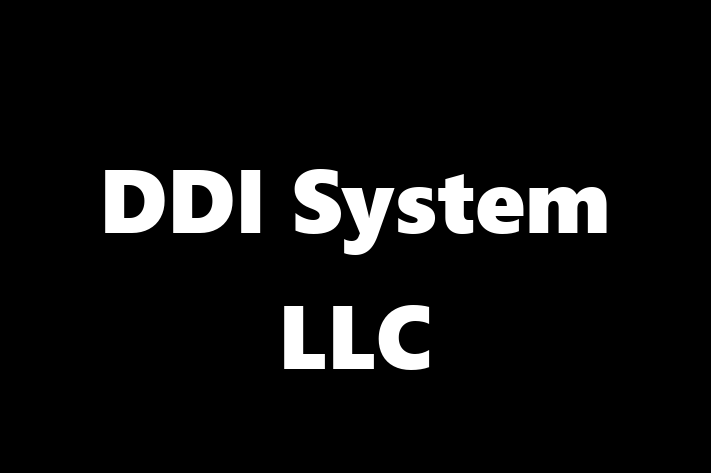 Software Development Company DDI System LLC