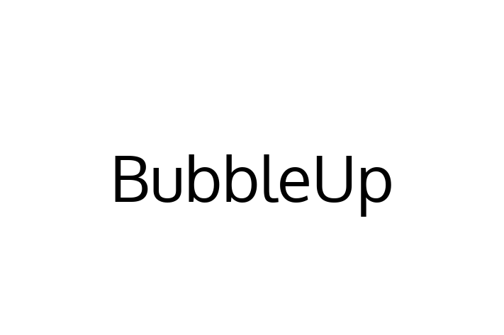 IT Company BubbleUp