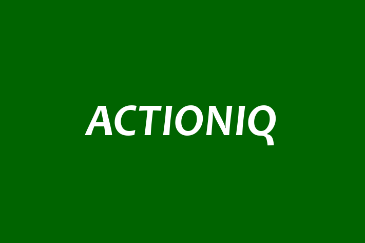 Software Engineering Company ACTIONIQ