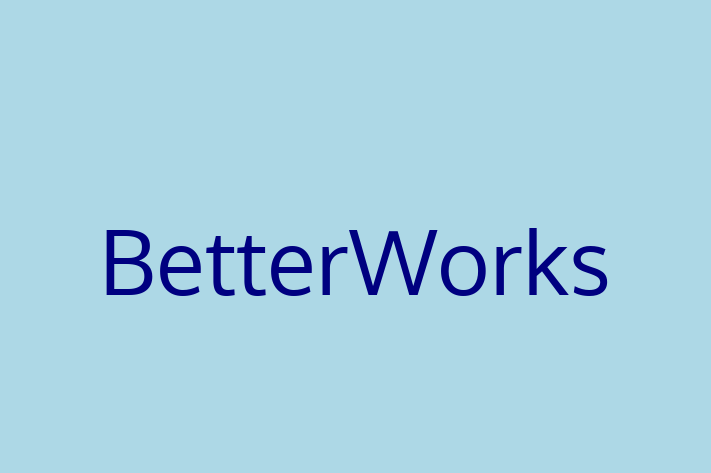 IT Company BetterWorks