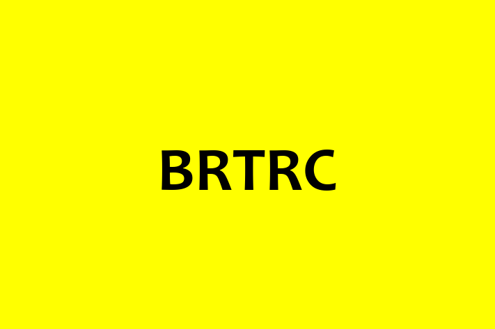 Software Consultancy BRTRC