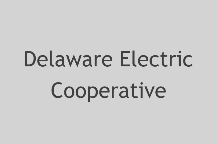 Software Firm Delaware Electric Cooperative