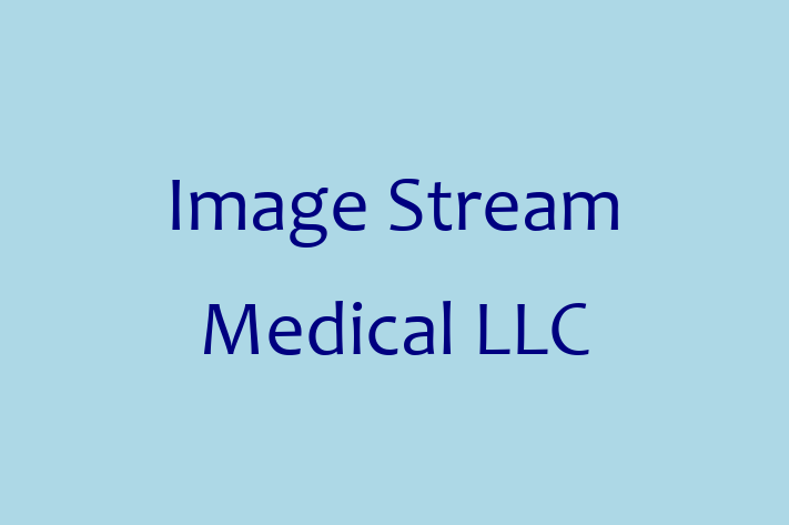 Application Development Company Image Stream Medical LLC