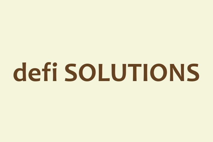 Software Development Company defi SOLUTIONS