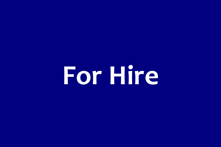 Tech Firm For Hire