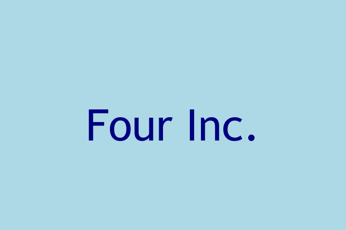 Software Development Firm Four Inc.