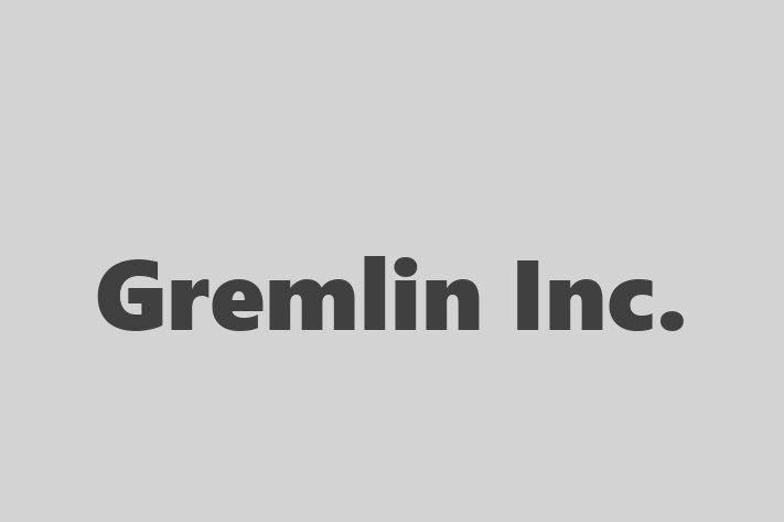 Digital Solutions Provider Gremlin Inc.