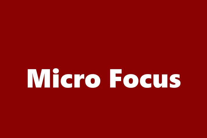 Technology Company Micro Focus