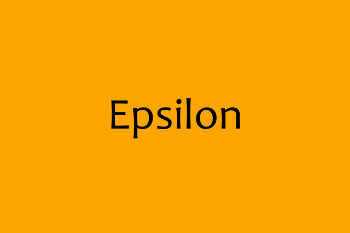 Technology Solutions Firm Epsilon