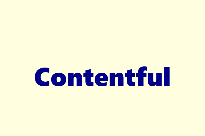 Software Engineering Company Contentful