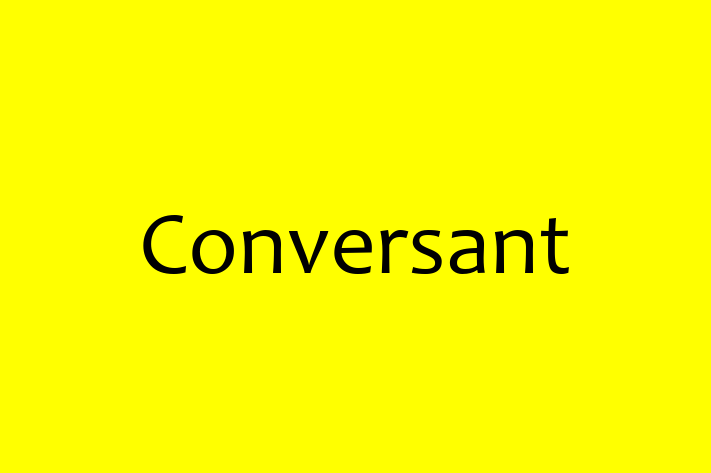 Software Engineering Company Conversant