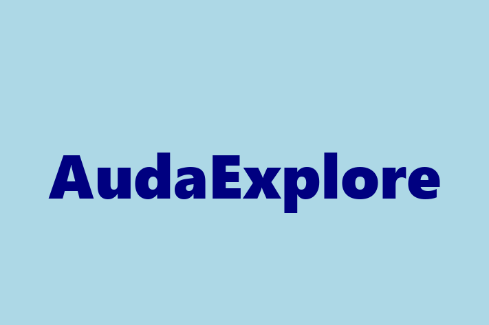 Software Services Company AudaExplore