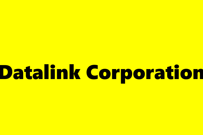 Technology Solutions Firm Datalink Corporation