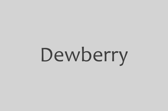 Tech Firm Dewberry