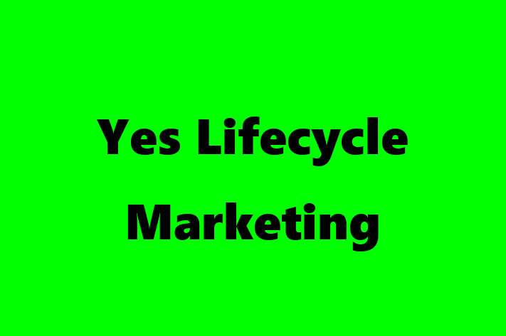 Technology Solutions Firm Yes Lifecycle Marketing