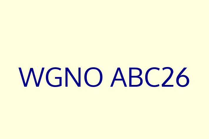 Software Development Company WGNO ABC26