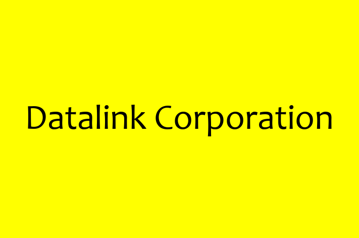 Tech Firm Datalink Corporation