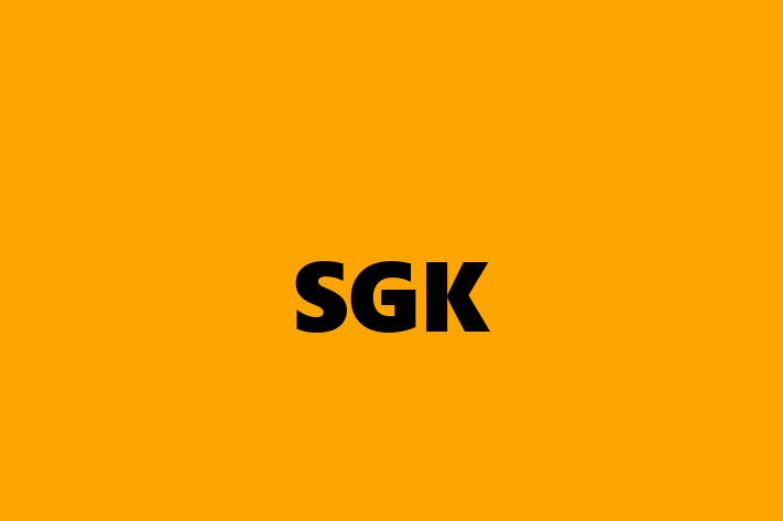 Digital Solutions Provider SGK