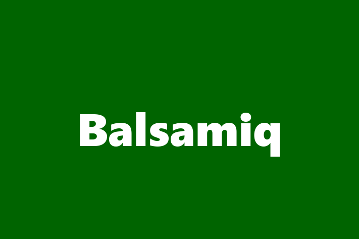 Technology Solutions Firm Balsamiq