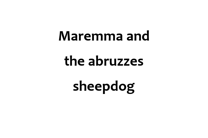 Dog Maremma and the abruzzes sheepdog for Sale in Peoria