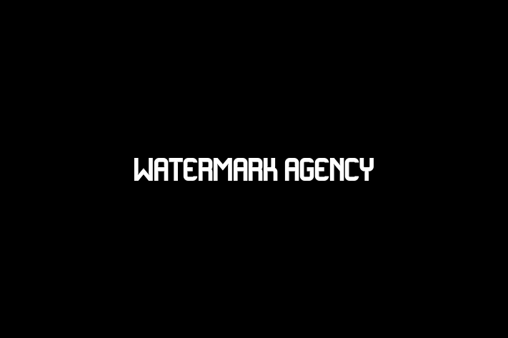 Software Consultancy Watermark Agency