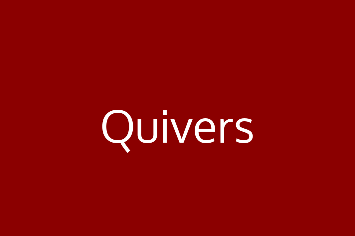 Technology Solutions Firm Quivers