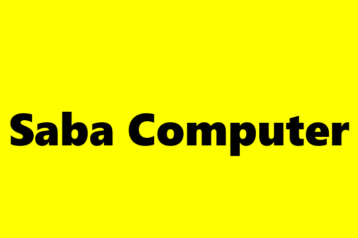 IT Company Saba Computer