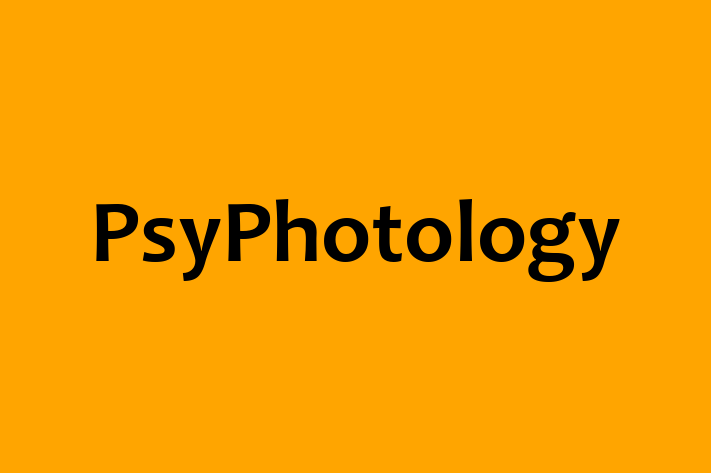 Software Development Company PsyPhotology