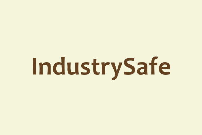 Tech Solutions Company IndustrySafe