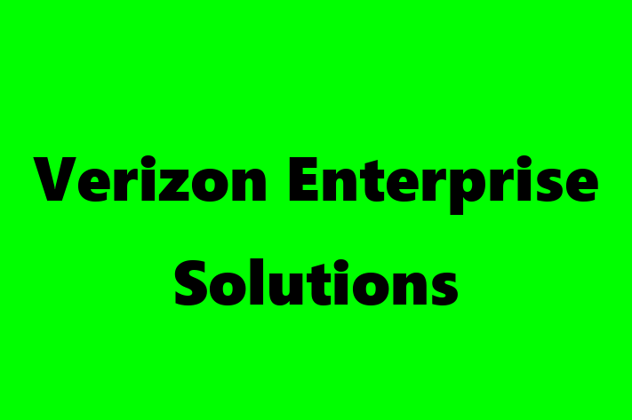 Software Services Company Verizon Enterprise Solutions