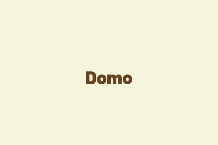 Software Engineering Company Domo