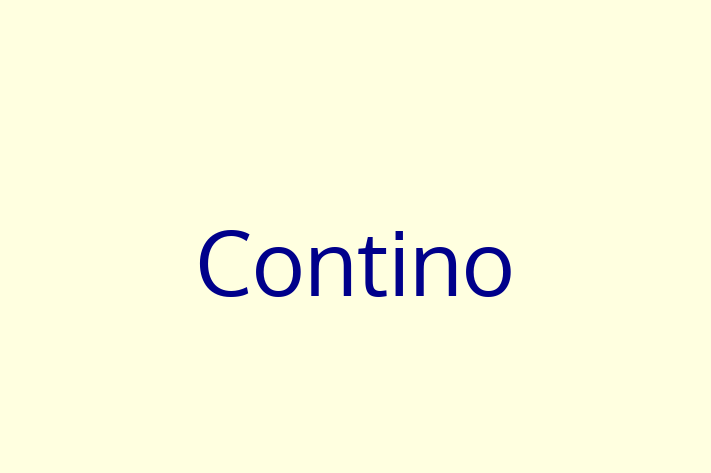 Technology Solutions Firm Contino