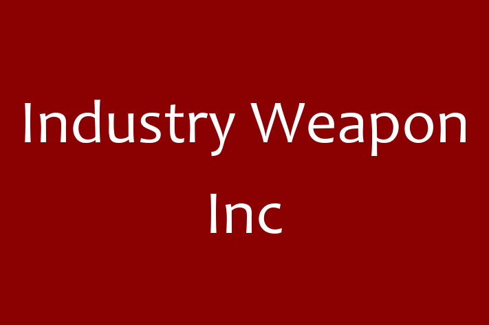 Software Development Company Industry Weapon Inc