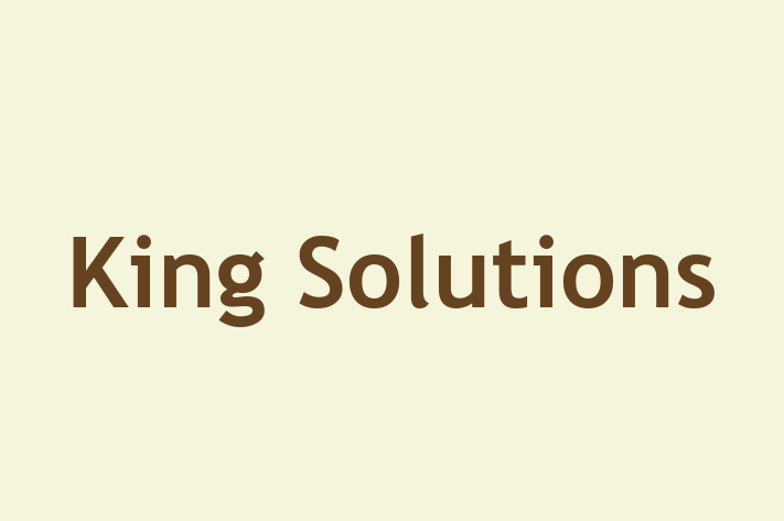 Software Engineering Company King Solutions