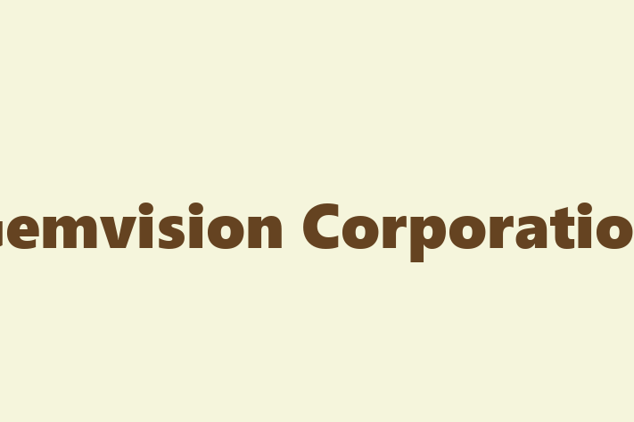 Software House Gemvision Corporation