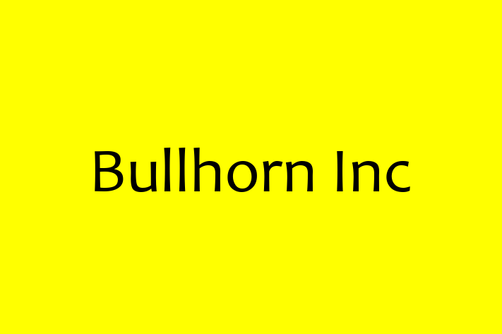 Software Services Company Bullhorn Inc