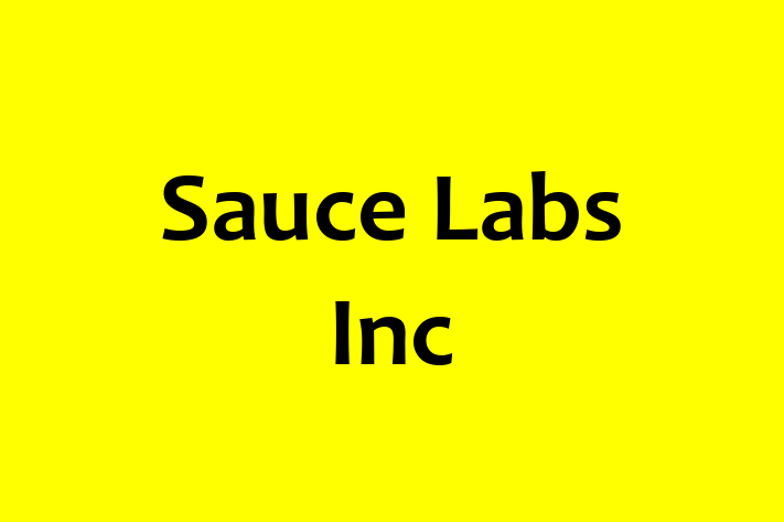 Technology Solutions Firm Sauce Labs Inc