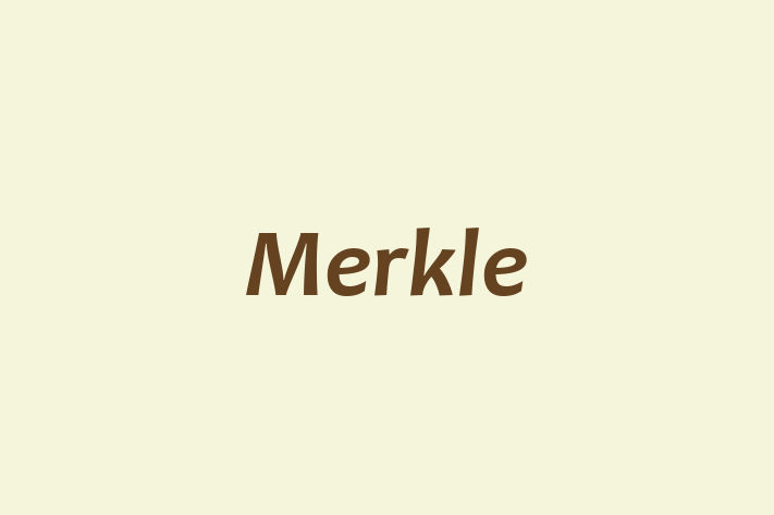 Software Firm Merkle