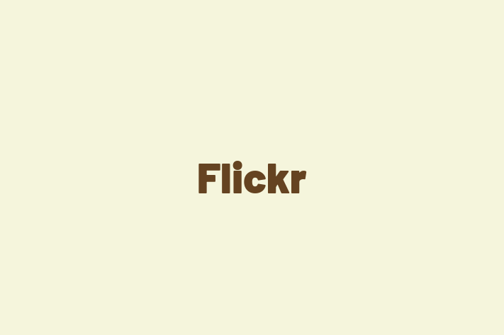 Software Engineering Company Flickr