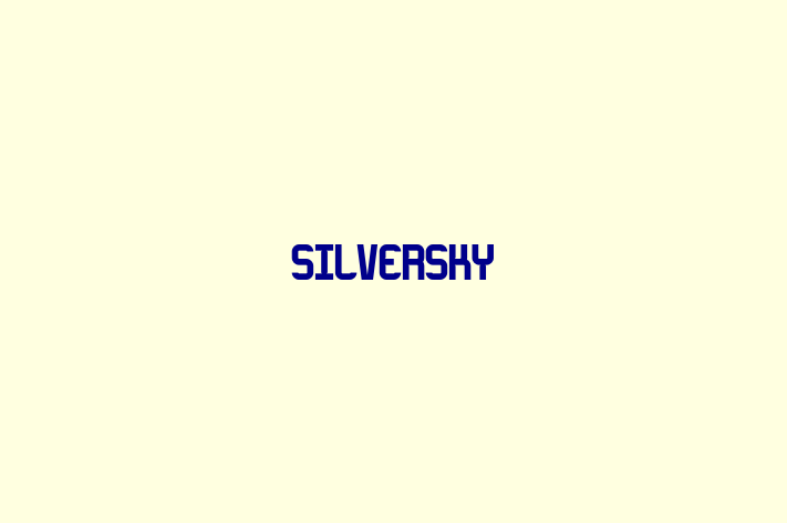 Software Services Company SilverSky