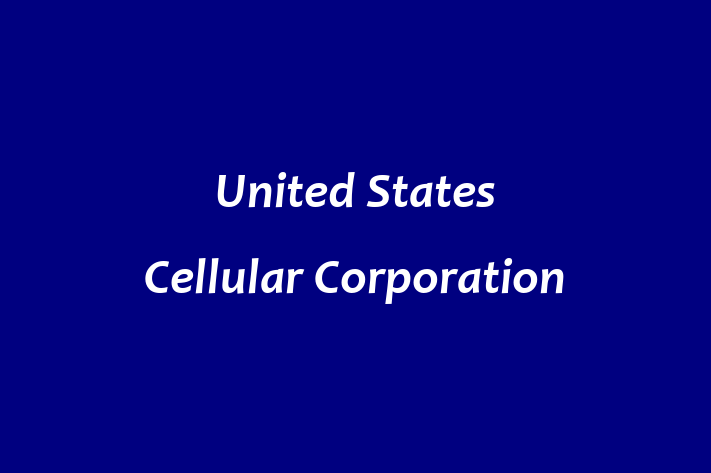 Technology Solutions Firm United States Cellular Corporation