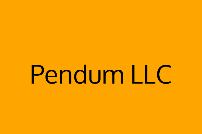 Application Development Company Pendum LLC