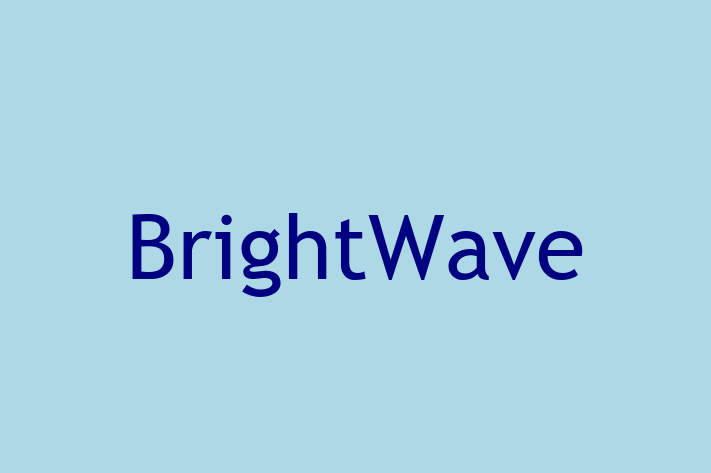 Tech Solutions Company BrightWave