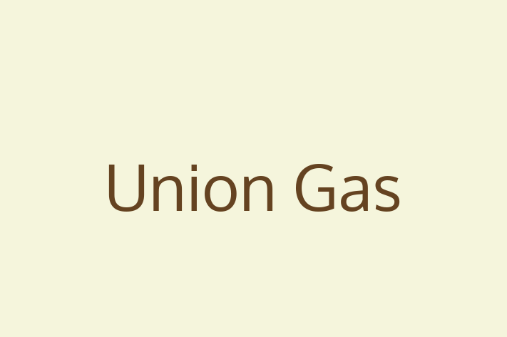 Software Development Firm Union Gas