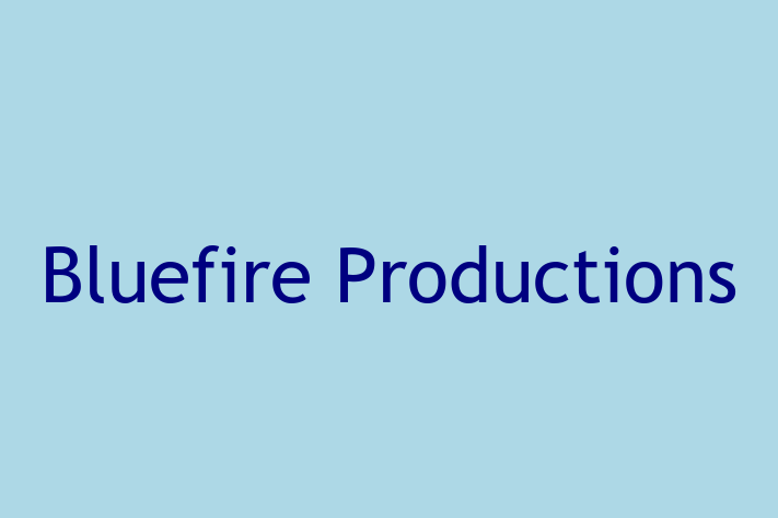 Software Engineering Company Bluefire Productions