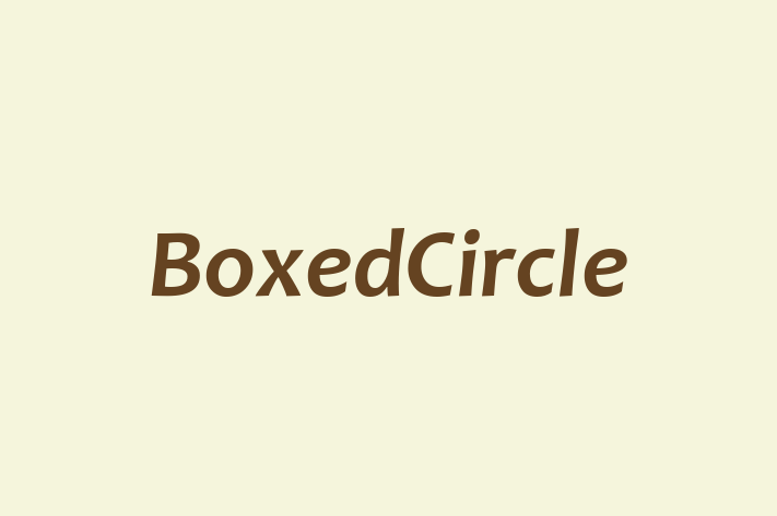 Software Engineering Company BoxedCircle