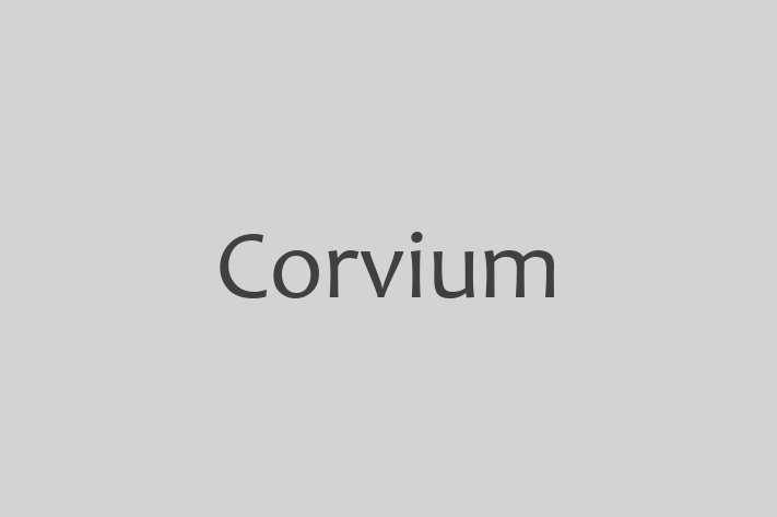 Software Consultancy Corvium